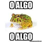 o algo