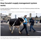 Screenshot 2025-07-19 at 21-48-08 How Canada&#039;s supply management system works CBC News