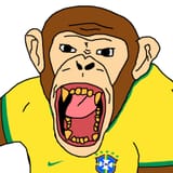 soy brazil