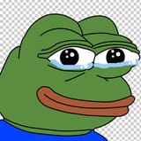 imgbin-pepe-the-frog-internet-meme-frog-Dp9gCzw8Lx8w7t7RsvBsh3jAf