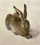 Albrecht_Duerer_-_Young_Hare_-_(MeisterDrucke-100764)