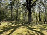 andachtsplatz-im-waldfriedhof-eifel-1024x768