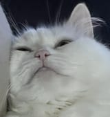 1748876477076021