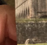 31245678