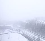 IMG_20231128_11502144