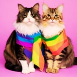 gaypridecats-400x400