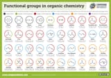 Organic-functional-groups-2024