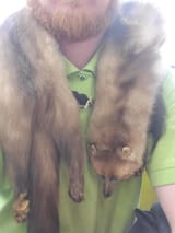 fox-scarf-thingy