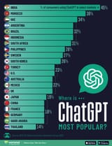 VORO_ChatGPT-Usage_Site