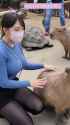 japanese capybaras - sauce is velvettube on youtube_thumb.jpg