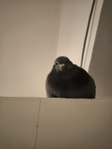 IMG_1564