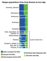 Bronze_to_Iron_Age_Steppe_peoples_genetic_makeup