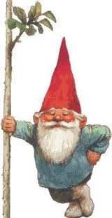Fin