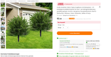 baum