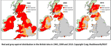 Squirrel-distribution-map