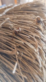 IMG_20250720_180210