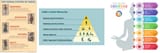 caste-system-varna-s-classes-India-hierarchy_jpg