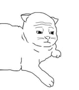 catsad