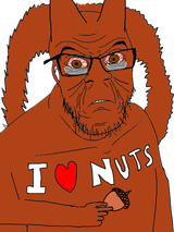 nuts