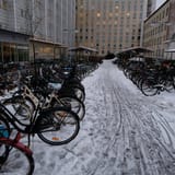 IMG_20231123_09442122