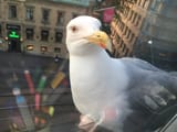 IMG_20240519_17234412