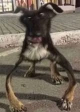 1735850678129803