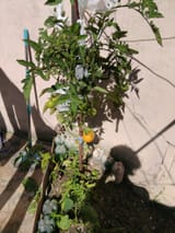IMG_20250627_105651(1)