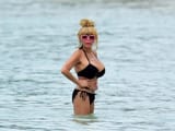 bimbo