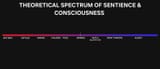 consciousness