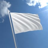 white-flag-std_3