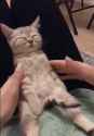 1724330363024691_thumb.jpg