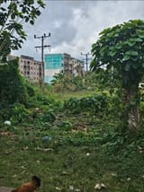 0250721_033802_Gallery
