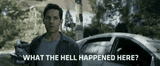 antman-what-the-hell-happened-here-510749183
