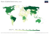 Share-global-forest_(OWID_1011)