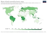 forest coverage map