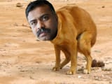 Dogjeet