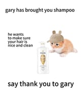 GwV0uwOWMAQlW54