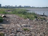 rio de la plata