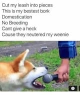 1538641715022