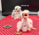 IMG_20250721_160754