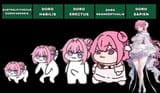 doro