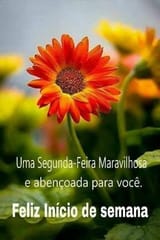 743a6d37-84d1-46d7-8ad5-bbc541916a51