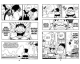 CH212 PG006