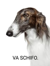 side-portrait-russian-borzoi-greyhound-600nw-89216422~2