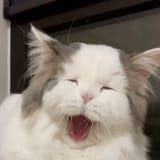 GwaOjTcbEAQlFES