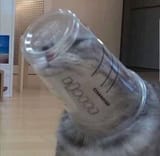1596251365090