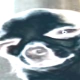 1747226346228362