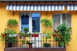 2019-03-Plantes-sur-balcon[1]