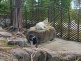 IMG_20250722_135736