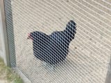 IMG_20250722_140404